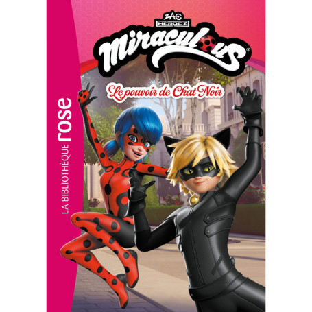 Miraculous (Nouvelles histoires) 04 - Le pouvoir de Chat Noir