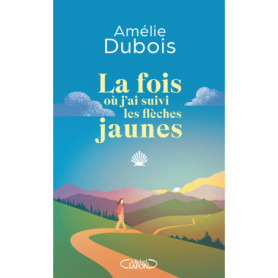 La fois où j'ai suivi les flèches jaunes