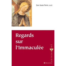 Regards sur l'immaculée