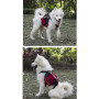 Sacoche de Selle Sac à Dos pour Chien Moyens & Grands, Harnasi Veste Gilet Imperméable Réglable Grande pour Voyage Entraînement