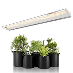 SPIDER FARMER SF600 LED Horticole Lampe Horticole à spectre complet Lampe de Croissance Plante avec 384 Leds