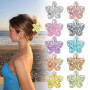 Vaskula 10 Pcs Pinces à Cheveux Plumeria 10 Couleu Pince Cheveux Femme Forte Tenue Antidérapante Pince Cheveux Fleur en Forme po