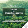 ORINKO Lot de 5 Bâtons de Siwak + Étui de protection – Brosse à Dents 100% Naturelle – Nettoyant, Désinfectant et Blanchissant -