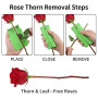 flower stripper,rosier sur tige,Rose Stripper,Effeuilleuse Tool for Home Flower Shop Jardinage Arrangement Floral,pour Fleuriste