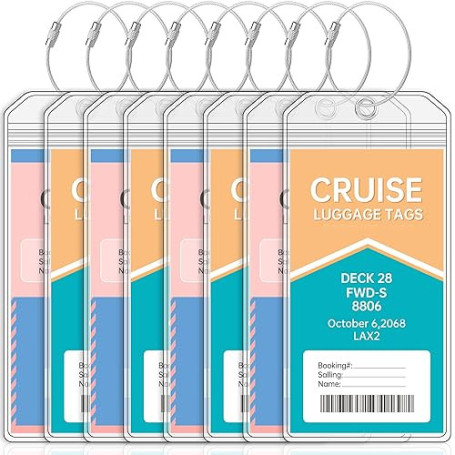 Teskyer 8 Pièces Porte Étiquette Bagage de Croisière, Imperméable à l'Eau, Transparent, Durable, avec Zip Seal, Boucles en Acier