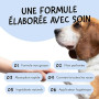 Belly® Baume Coussinet Chien - Hydrate, Guérit, Protège Contre Neige, Sel, Pattes Craquelées & Truffe - sans Parfum - Sûr à Léch