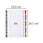 EXACOMPTA Jeu d'intercalaire alphabétique 20 positions en carte blanche 170g, onglets Mylar® A4