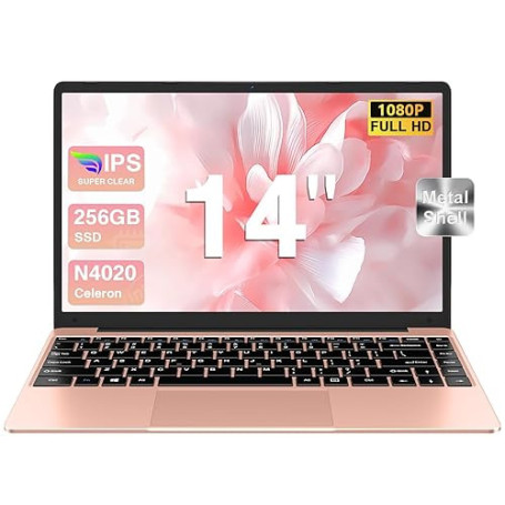 bvate Ordinateur Portable 14" 256 Go Win 11 N4020 Support Expansion 1 to SSD 1080P 2.4G+5G WiFi Mini HDMI & Souris sans Fil et U