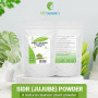 Poudre de Sidr (Jujubier) 100g – Soin Naturel Cheveux & Visage | Nettoyant Doux Cuir Chevelu | Peaux Grasses & à Imperfections |