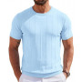 T-shirt d'été en soie glacée pour homme - Manches courtes - Maille fine - Respirant - Coupe ajustée - Col rond