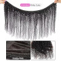 Tissage Bresilien en lot Cheveux Humain Kinky Curly Bundles Tissage Bouclé Naturel Mèches Brésiliennes Human Hair Extensions Nat