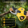 4 en 1 Tronconneuse à Batterie&Secateur Electrique avec Perche Télescopique | Portée Max Jusqu'à 4,2m, 1000 W Moteur & 2 Batteri