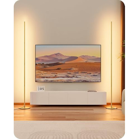 EDISHINE Lot de 2 Lampadaires, Dimmables, Hauteur Réglable, Doré | 3000 K Blanc Chaud, Fonction Mémoire, Interrupteur au Pied, J