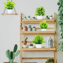 Purpledi 6 Pièces Mini Plantes Artificielles Verdure Plastique Faux Plantes avec Pot, Fausse Plante Interieur, Plante Artificiel