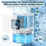 Deshumidificateur d Air Anti Moisissure 500ML, Éco Electrique Déshumidificateurs Maison Compact, Silencieux et Efficace avec Arr