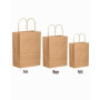 Gcardist Lot de 100 sacs en papier brun avec poignées, différentes tailles (grandes, 33 unités, moyennes, 33 unités, petites, 34