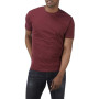 Charles Wilson Pack de 5 T-Shirts Unis à Col Rond