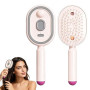 Peigne de Massage Électrique à Coussin d'Air avec Spray et Lumière Rouge, Brosse Vapeur Cheveux, Coiffage Lissant pour Cheveux S