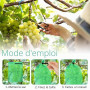 100 Pièces Sachet Protection Raisin: 20x30cm Sac de Protection Fruits | Sachet Protection Fruits pour Potéger Les Grappes de Rai