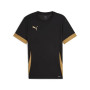 Puma Teamgoal Matchday Jersey Maillot de Foot Mixte (Lot de 1)