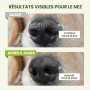 PawSono Baume Coussinets et Truffe Chien Stick 100% Naturel Huile de Coco | Naturel Beurre de Karité, Peut être Léché sans Risqu