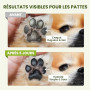 PawSono Baume Coussinets et Truffe Chien Stick 100% Naturel Huile de Coco | Naturel Beurre de Karité, Peut être Léché sans Risqu