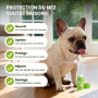PawSono Baume Coussinets et Truffe Chien Stick 100% Naturel Huile de Coco | Naturel Beurre de Karité, Peut être Léché sans Risqu