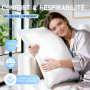 Oreiller 60x60 Plumes et Duvet Luxe Confort Coussin de Sommeil Certifié RDS | CloudÉtoile Oreiller 60x60 cm en Plumes Qualité Hô
