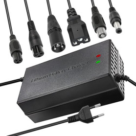 67.2v 5a Li-ION Chargeur de Batterie Multi-Plug pour Chargeur de Batterie de Moto de Bateau de Skateboard de vélo électrique 16S