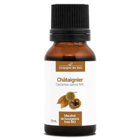 Châtaignier BIO (Castanea Sativa) – Macérat concentré de bourgeons frais