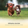 Thunderpaws Coupe-Griffes pour Chien avec Dispositif de Protection, verrou de sécurité et Lime à Griffes – Convient aux Chiens d