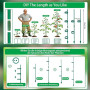 Tuteurs pour Plantes 115 Pièces avec 20 Tuteur Plante, 40 Tiges Plantes Clips,15 Tiges Tube d'extension, 1M Bande Velcro, Tuteur