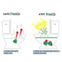 FreeCo Spray WC préventif. Bloque les odeurs dès leur origine, aux Huiles Essentielles. Idéal Maison, Bureau, Voyage. Pack décou