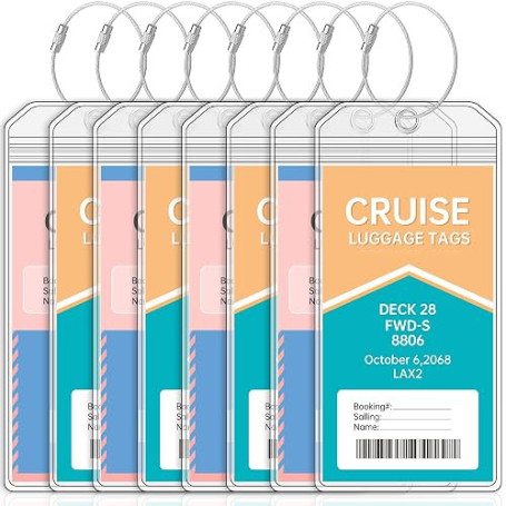 Teskyer 8 Pièces Porte Étiquette Bagage de Croisière, Imperméable à l'Eau, Transparent, Durable, avec Zip Seal, Boucles en Acier