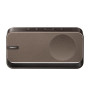 Bose Soundlink Home Enceinte, Premium, Enceinte d’étagère Portable, sans Fil et Bluetooth, Jusqu’à 9 Heures d’autonomie, Bois Ch