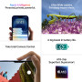 Apple iPhone 16, 128GB, sarcelle (Reconditionné)