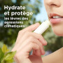 Le Petit Marseillais Soin Lèvres Nutrition Lèvres Desséchées, 4,9 g | Baume à lèvres au beurre de karité, amande douce et huile