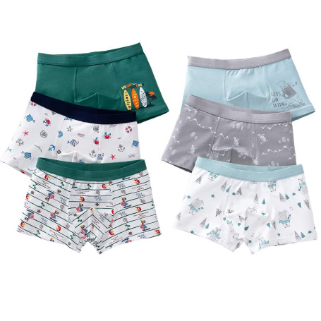 LeQeZe Boxer Garçon Lot de 6 Enfant Slip Garcon Coton Culotte sous-Vêtement 2-11 Ans