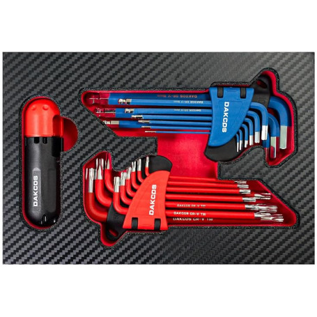 DAKCOS 18 pc Jeu de Clé Allen Hexagonales 1.5-10mm et Clés Torx T10-T50 Mâles avec poignée en Cr-V