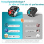 SEESII Mini Tronçonneuse à Batterie 2x4000mAh, 6 Pouces Tronçonneuse Électrique sans Fil avec Injecteur de Lubrifiant et Chaîne