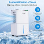 SHANNA Deshumidificateur d air 10L/J, déshumidificateur pour maison 30m² avec arrêt automatique, idéal pour, salles de bains, ch
