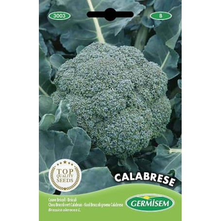Germisem graines Chou Brocoli vert CALABRESA