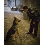 Mes vies de chien