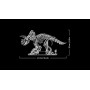 LEGO Jurassic World Les fossiles de Dinosaure : Le tricératops 77985 | Set pour adulte, déco DIY pour étagère, minifigurine de D