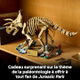 LEGO Jurassic World Les fossiles de Dinosaure : Le tricératops 77985 | Set pour adulte, déco DIY pour étagère, minifigurine de D