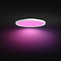 Philips Hue Devote Plafonnier Slim, S, 291 mm Rond, Blanc | White and Color Ambiance, Smart LED, 16,6 W, Variation Intensité Lum