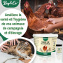 Bey&Co® Terre de Diatomée Alimentaire Blanche Non Calcinée | Hygiène Naturelle Chat, Chien, Poule, Maison, Jardin, Potager (1,5K