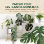 Terreau Monstera 6L - Substrat Light Mix - Terreau Plante Verte Interieur - 5 Composants - Terre a Faire Pousser