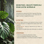 Terreau Monstera 6L - Substrat Light Mix - Terreau Plante Verte Interieur - 5 Composants - Terre a Faire Pousser