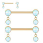 AROWRO Lot de 4 piercings pour téton en titane - Unisexe - Forme circulaire - Pierre transparente - Fermeture à vis - Qualité im